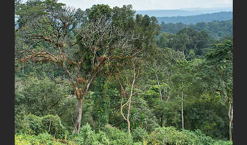 Aethiopien (Ethiopia)