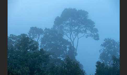 Aethiopien (Ethiopia)