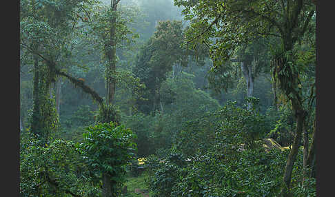 Aethiopien (Ethiopia)