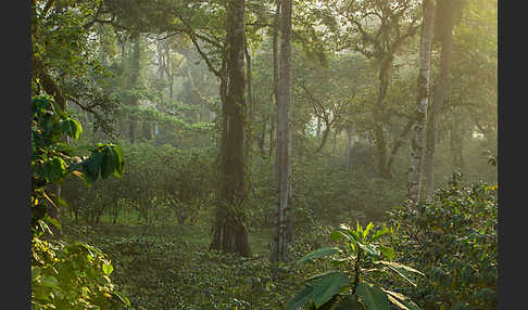 Aethiopien (Ethiopia)