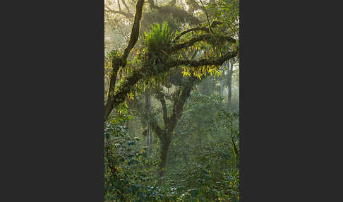 Aethiopien (Ethiopia)