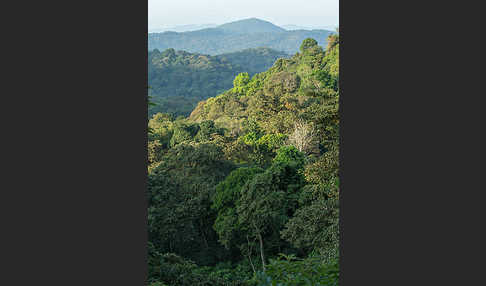 Aethiopien (Ethiopia)