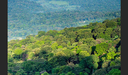 Aethiopien (Ethiopia)