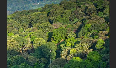 Aethiopien (Ethiopia)