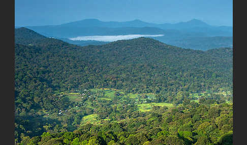 Aethiopien (Ethiopia)