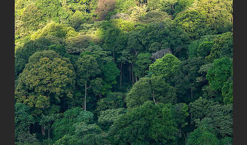 Aethiopien (Ethiopia)