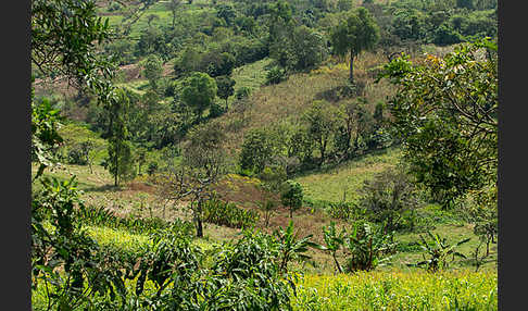 Aethiopien (Ethiopia)