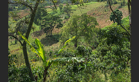 Aethiopien (Ethiopia)