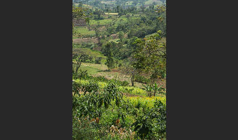 Aethiopien (Ethiopia)