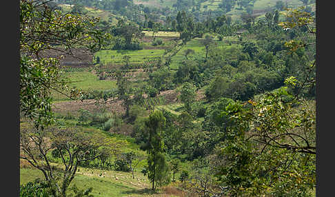 Aethiopien (Ethiopia)