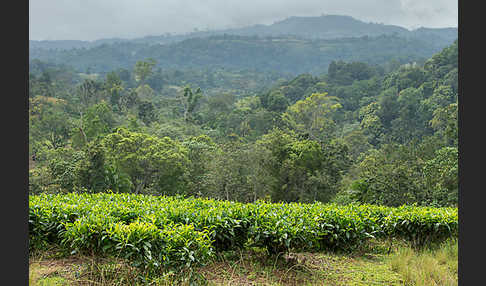 Aethiopien (Ethiopia)