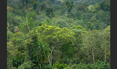 Aethiopien (Ethiopia)