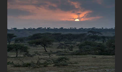 Aethiopien (Ethiopia)