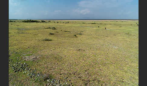 Aethiopien (Ethiopia)