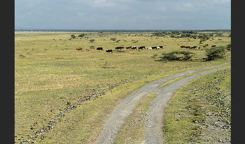 Aethiopien (Ethiopia)