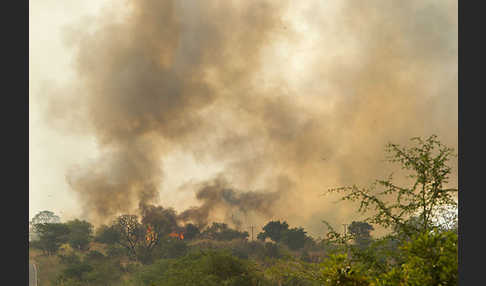 Aethiopien (Ethiopia)