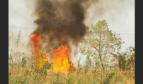 Aethiopien (Ethiopia)