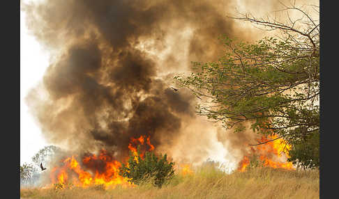 Aethiopien (Ethiopia)