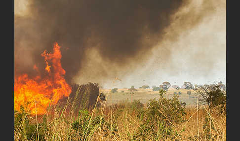 Aethiopien (Ethiopia)