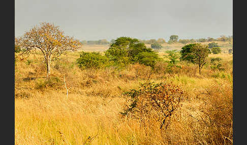 Aethiopien (Ethiopia)