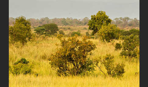 Aethiopien (Ethiopia)