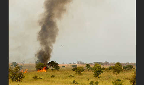 Aethiopien (Ethiopia)