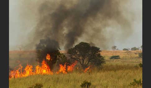 Aethiopien (Ethiopia)