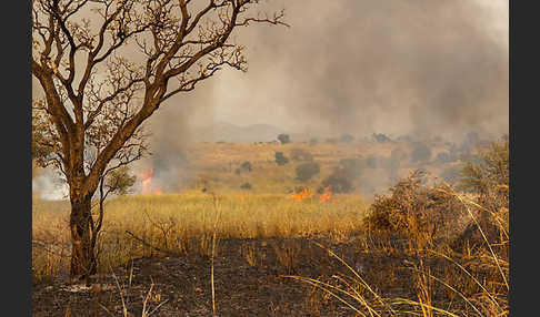 Aethiopien (Ethiopia)