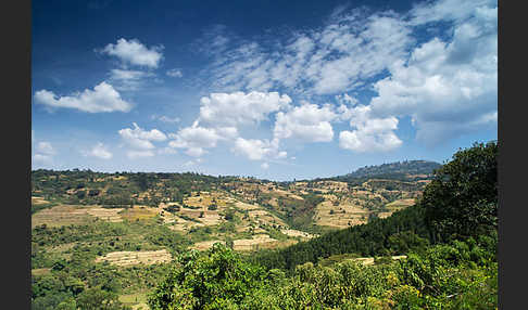 Aethiopien (Ethiopia)