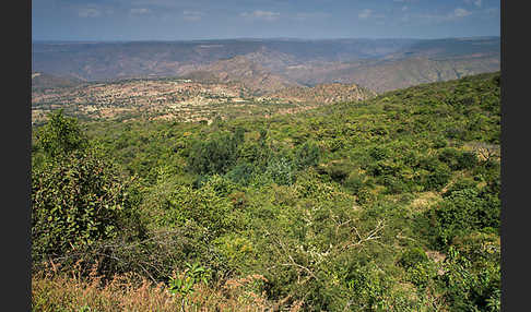 Aethiopien (Ethiopia)