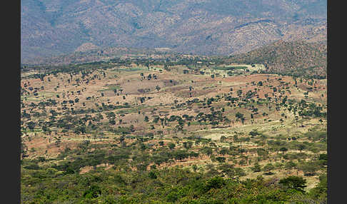 Aethiopien (Ethiopia)