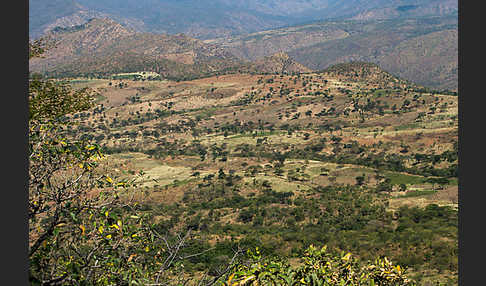 Aethiopien (Ethiopia)