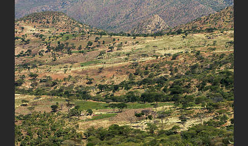 Aethiopien (Ethiopia)