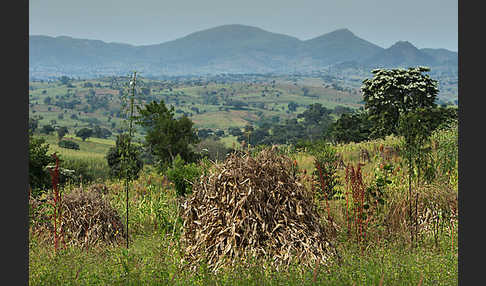 Aethiopien (Ethiopia)