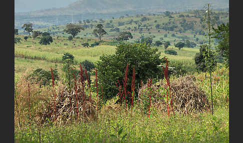 Aethiopien (Ethiopia)