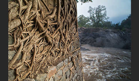 Aethiopien (Ethiopia)