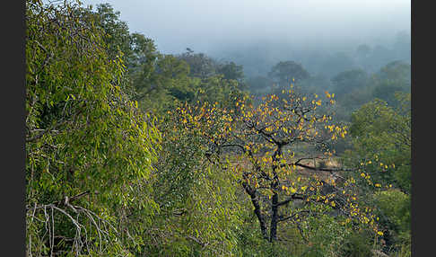 Aethiopien (Ethiopia)