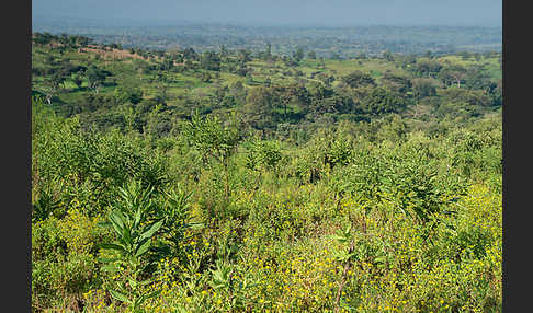 Aethiopien (Ethiopia)