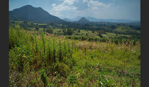 Aethiopien (Ethiopia)