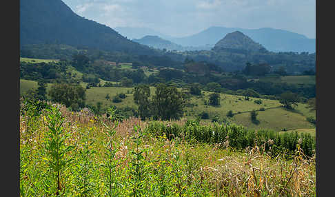 Aethiopien (Ethiopia)