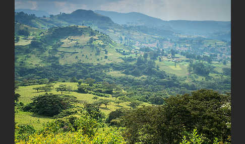 Aethiopien (Ethiopia)