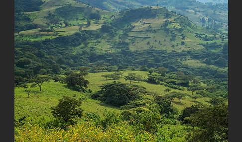 Aethiopien (Ethiopia)