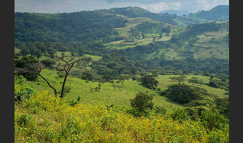 Aethiopien (Ethiopia)