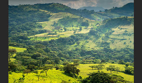 Aethiopien (Ethiopia)