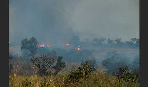 Aethiopien (Ethiopia)