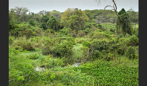 Aethiopien (Ethiopia)