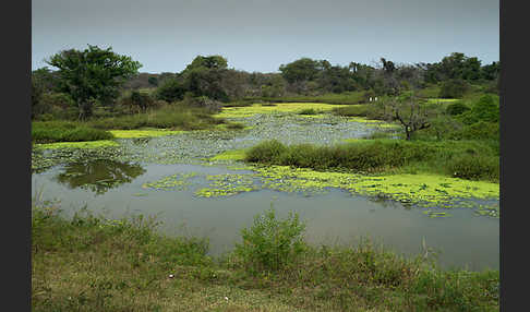 Aethiopien (Ethiopia)