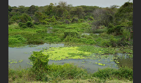 Aethiopien (Ethiopia)