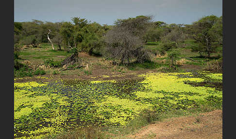 Aethiopien (Ethiopia)