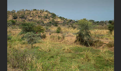 Aethiopien (Ethiopia)